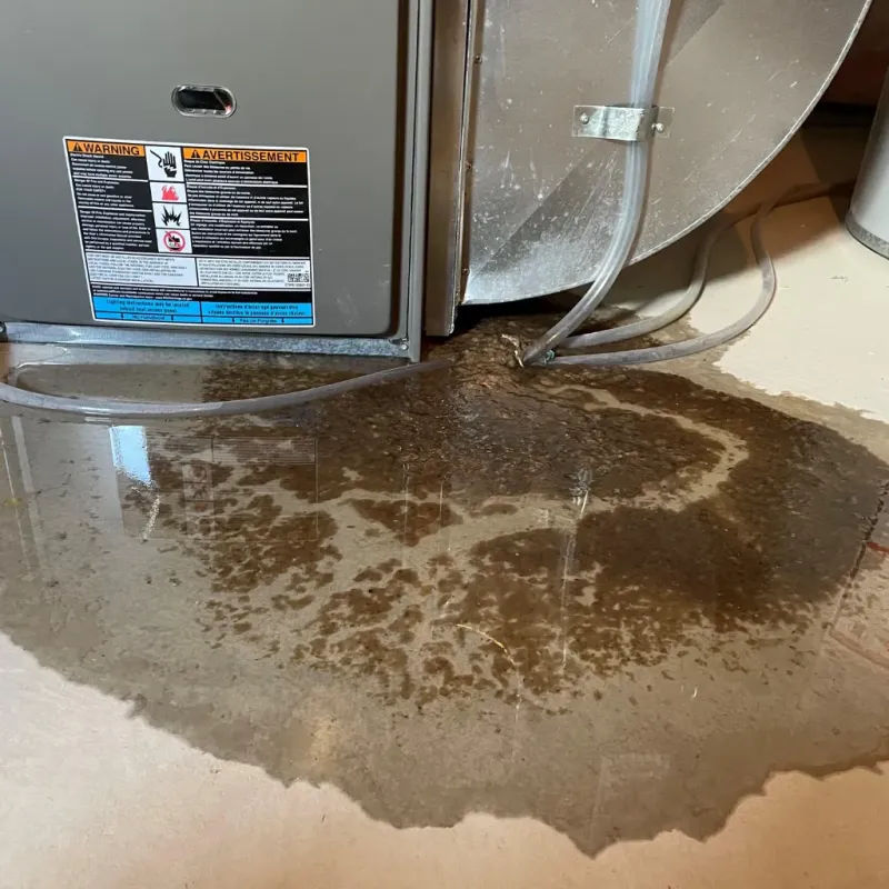 Appliance Leak Cleanup in Morgan, GA